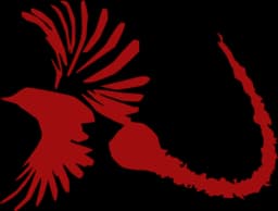 Firetail bird