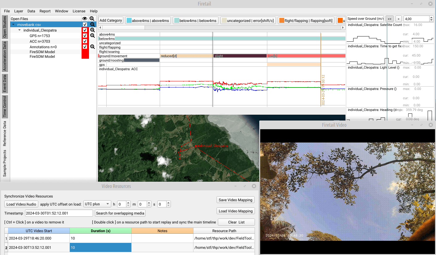 Firetail with acceleration data, behaviour layers, the map and a synchronized video window side by side