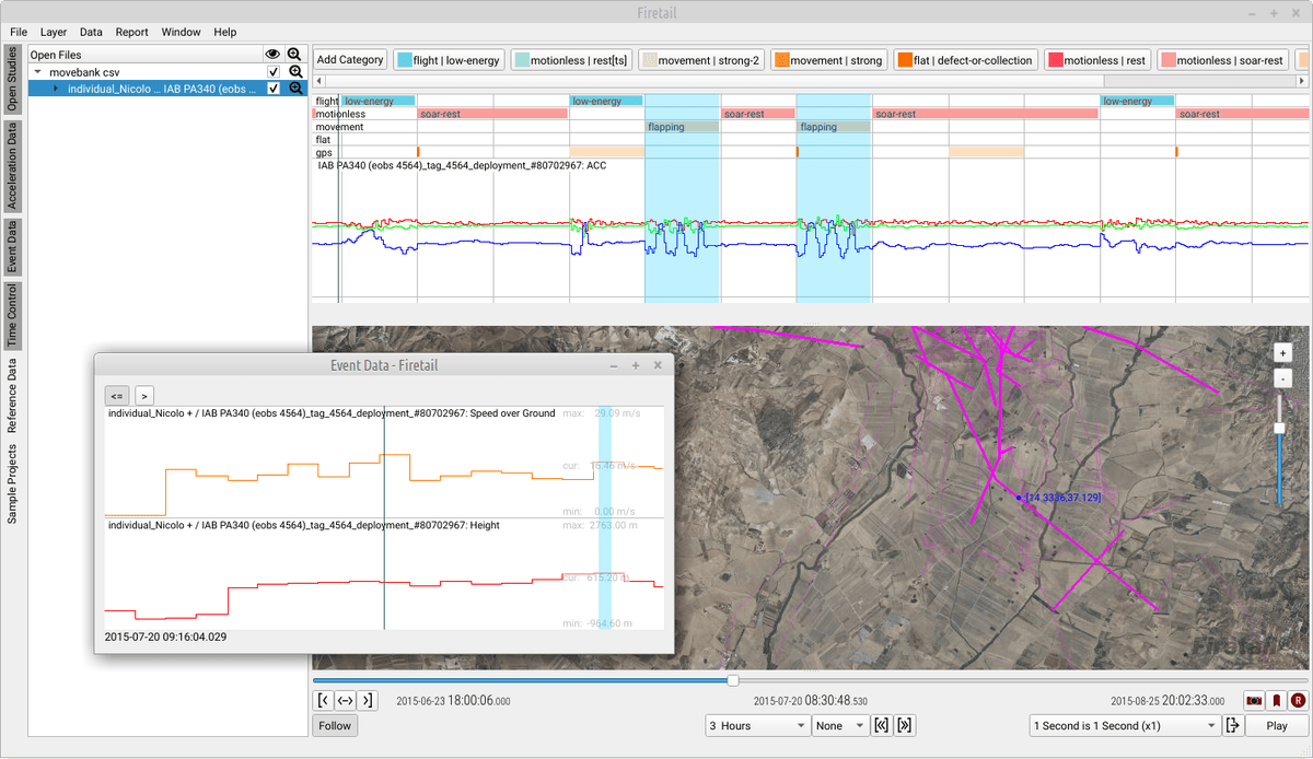 Firetail patterns and behavior analysis