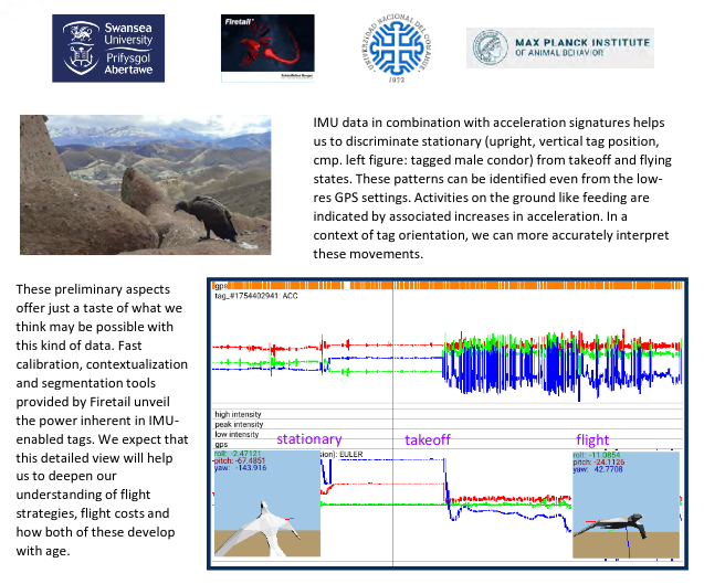 The e-obs newsletter 2021
