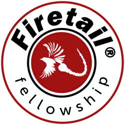 Firetail