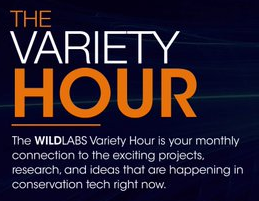 Wildlabs – The variety hour – June