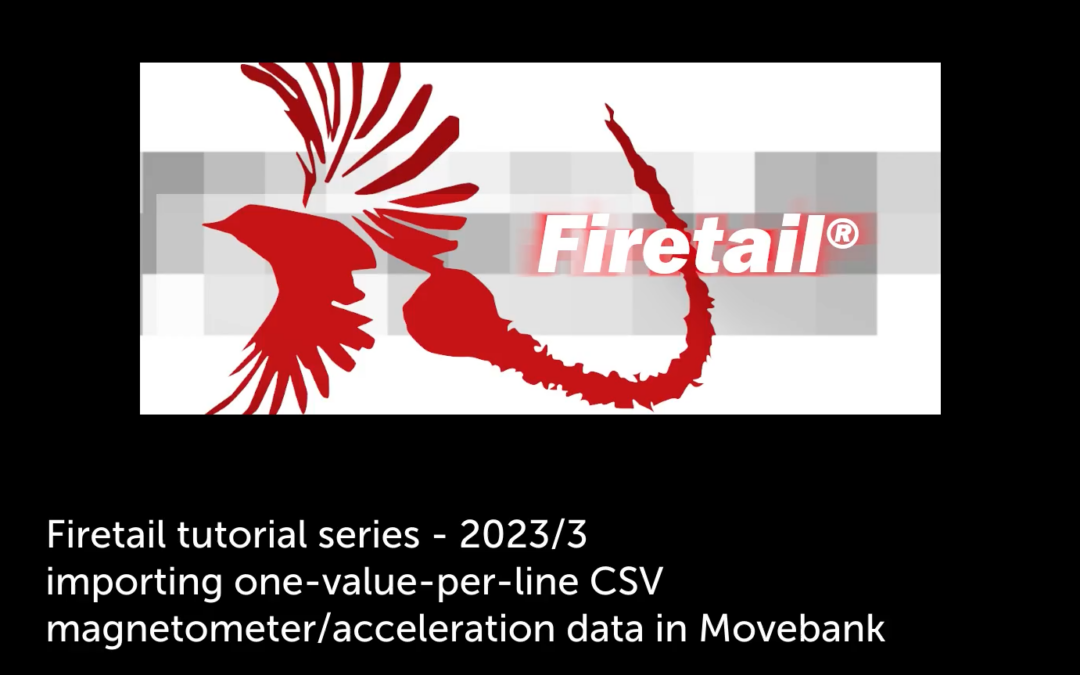 Firetail tutorial thumbnail